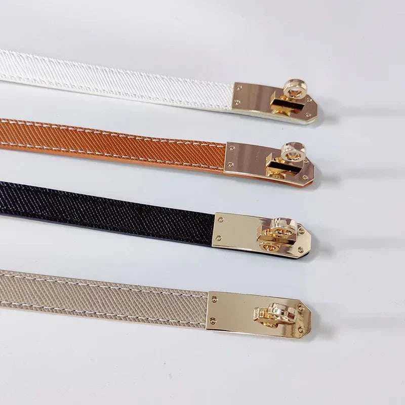 Luxury Corset Belt in various colors with structured design and durable clasp.